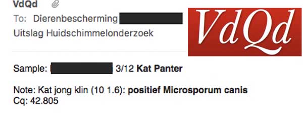 Binnen een dag een uitslag of er wel of geen schimmel aanwezig is